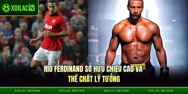 Rio Ferdinand sở hữu chiều cao và thể chất lý tưởng
