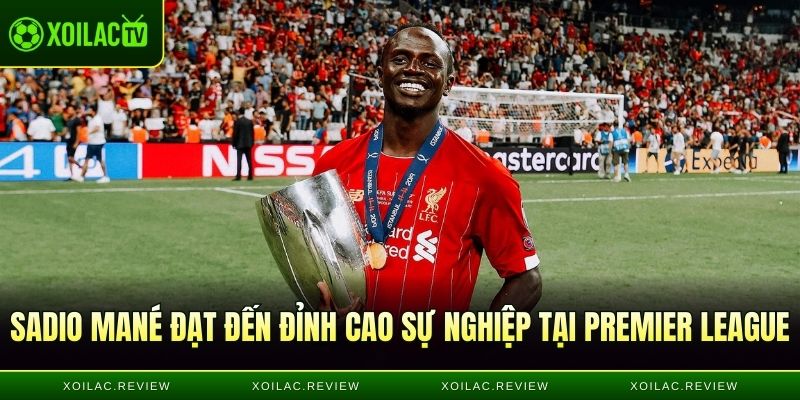 Anh đạt đến đỉnh cao sự nghiệp tại Premier League